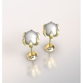 Hoop Earrings pearl.Or 750/1000