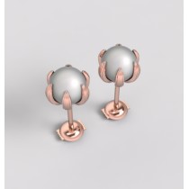 Hoop Earrings - 14kt In Stock