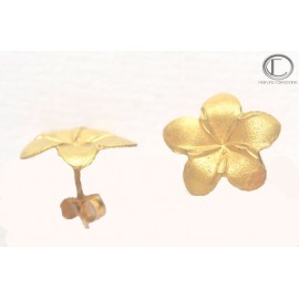 Boucles Hibiscus . OR 750/1000