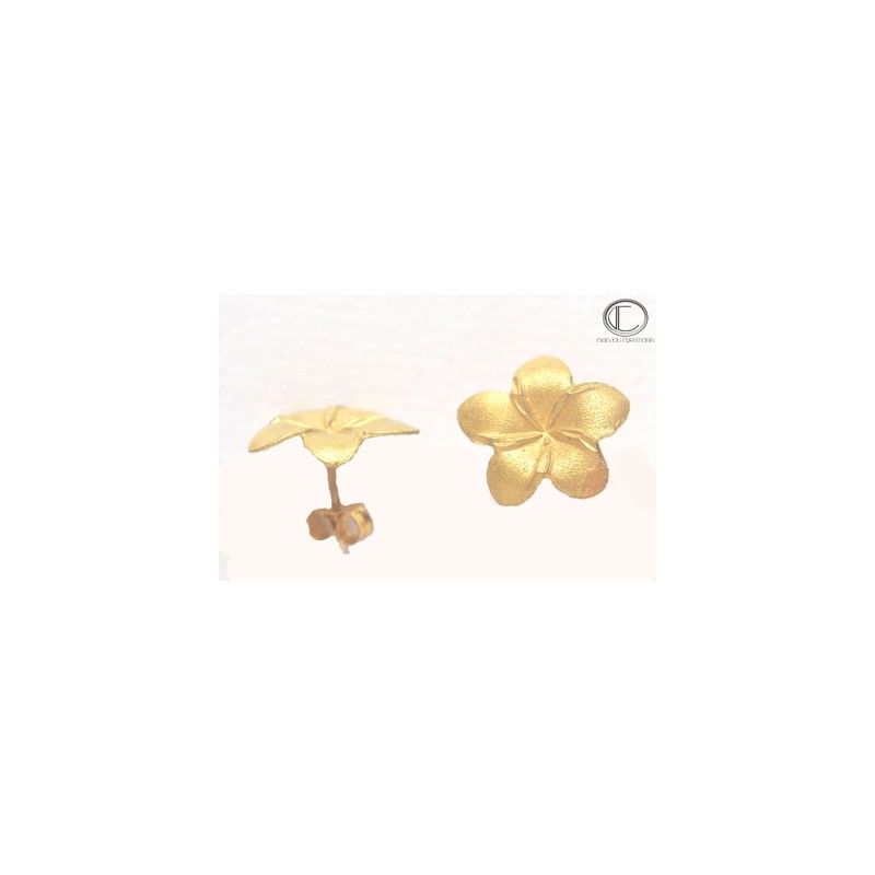 Boucles Hibiscus . OR 750/1000