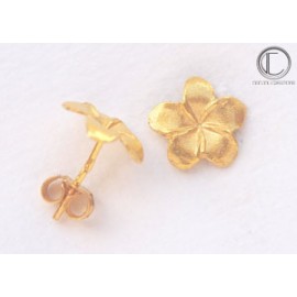 Boucles Hibiscus . OR 750/1000