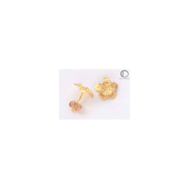 Boucles Hibiscus . OR 750/1000