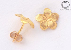 copy of Boucles Hibiscus . OR 750/1000