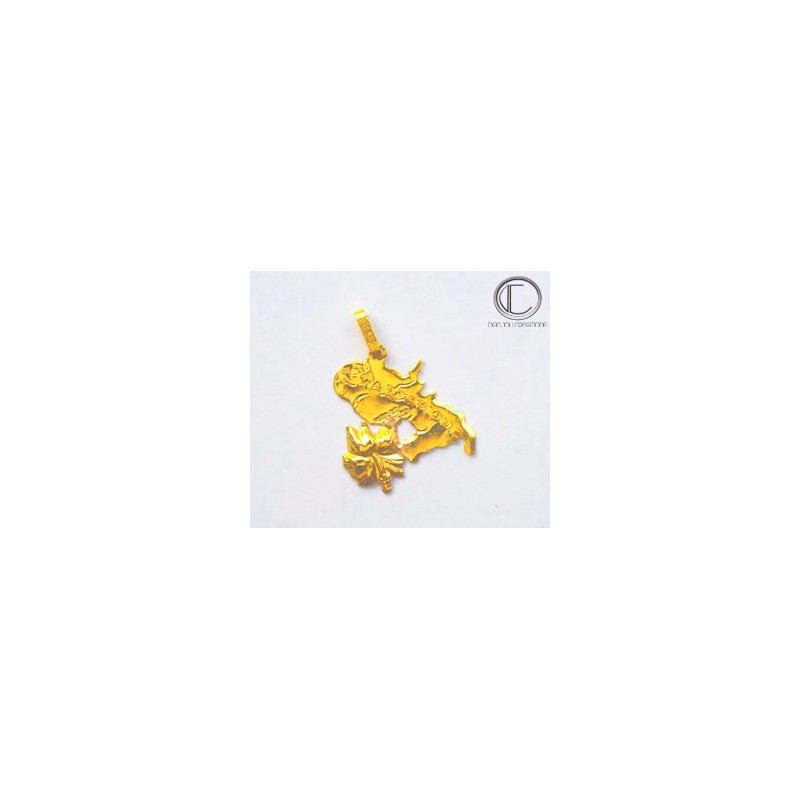 Pendentif carte martinique hibiscus.Or 750/1000