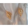 conch earrings.Gold 750/1000
