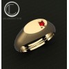 ANILLO DE SELLO .OR750/1000