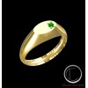 ANILLO DE SELLO .OR750/1000