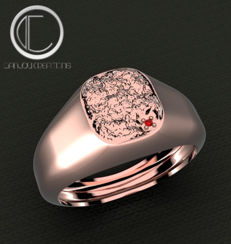 ANILLO DE SELLO.Oro 750/1000