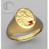 ANILLO DE SELLO .OR750/1000
