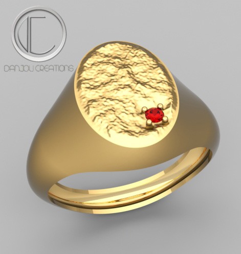 ANILLO DE SELLO .OR750/1000
