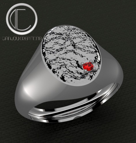 ANILLO DE SELLO .OR750/1000