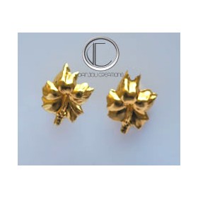 Boucles Hibiscus . OR 750/1000