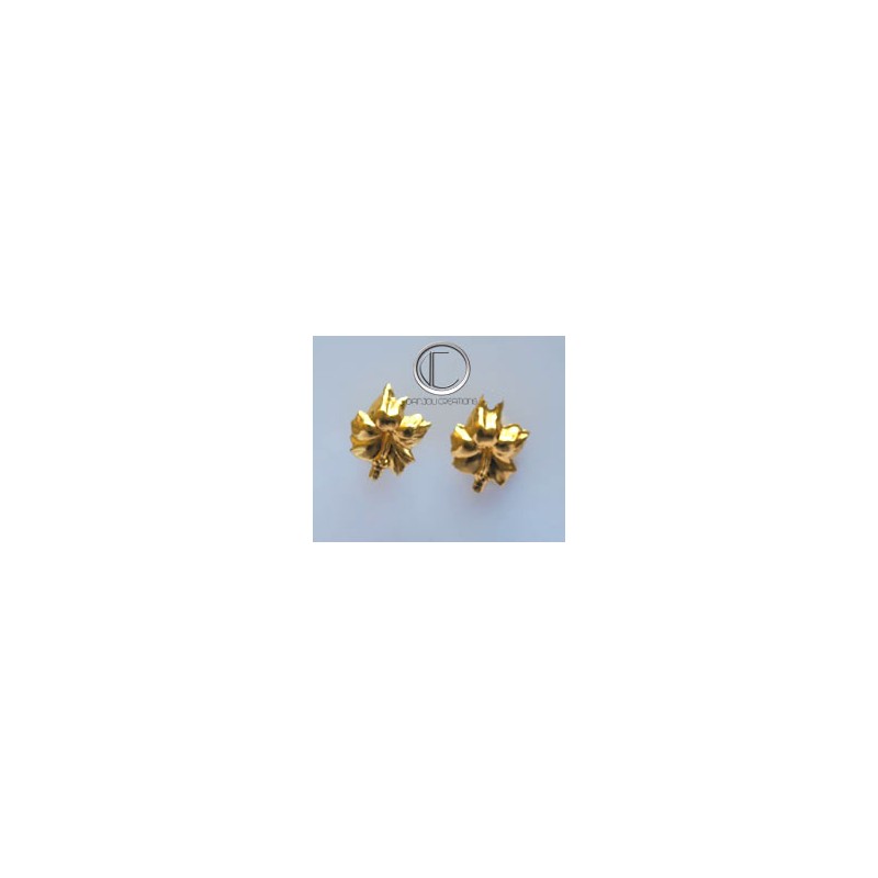 Boucles Hibiscus . OR 750/1000