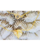 ANANAS, ANTHURIUM,ORKIDEES